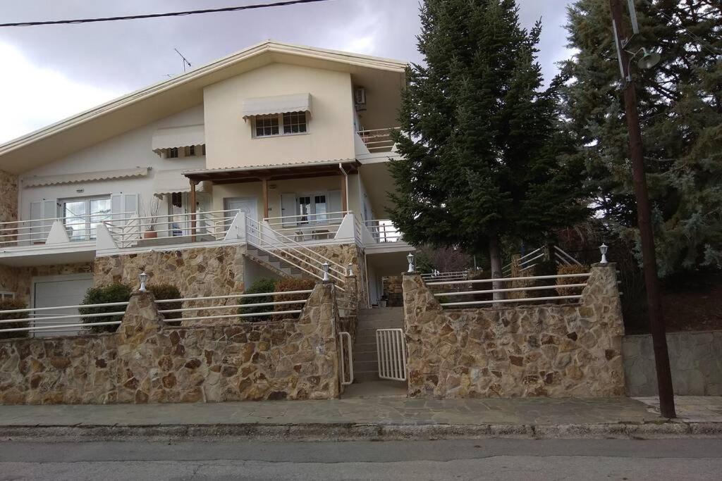 The Stone House Daire Kozani Dış mekan fotoğraf